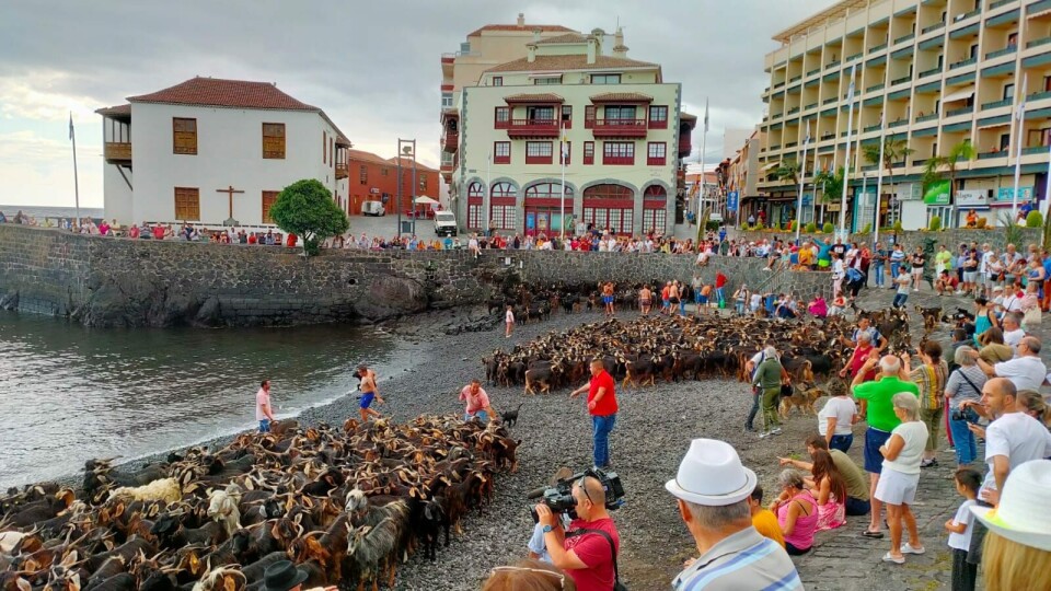 Foto: Ayuntamiento Puerto de la Cruz