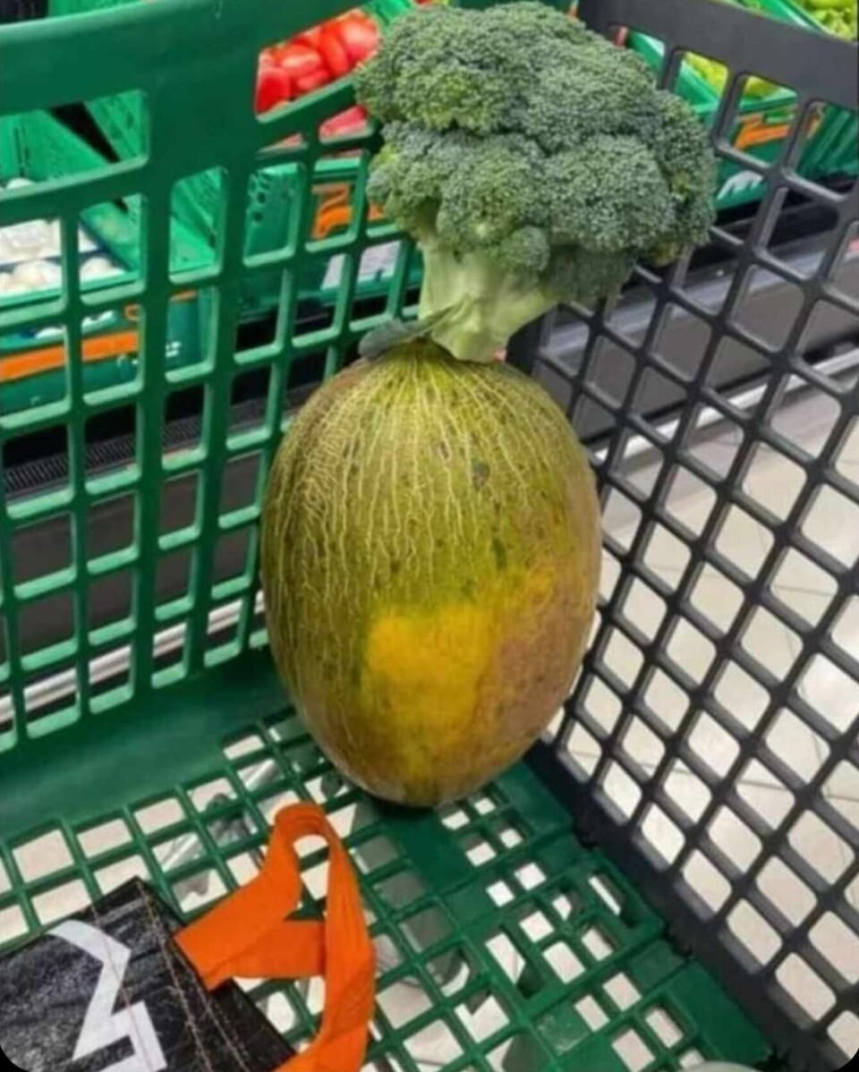 Det er kanskje ikke en ananas, men... Foto: privat Det er kanskje ikke en ananas, men... Foto: privat