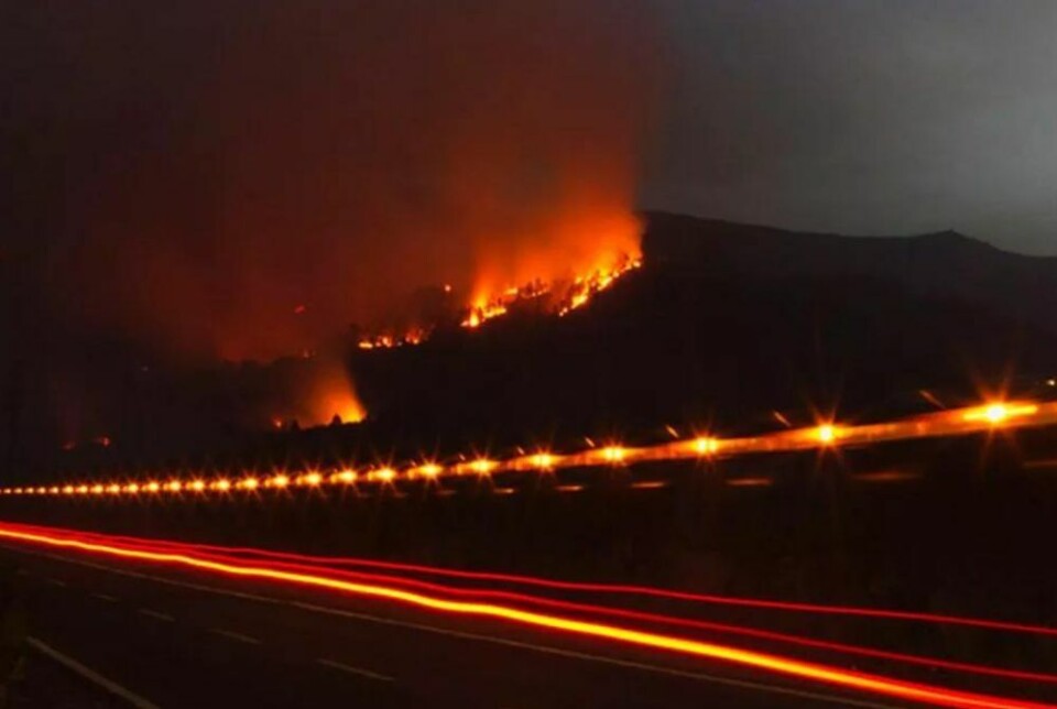 Bilde av en skogbrann i Vilaflor på Tenerife. Foto: Reuters