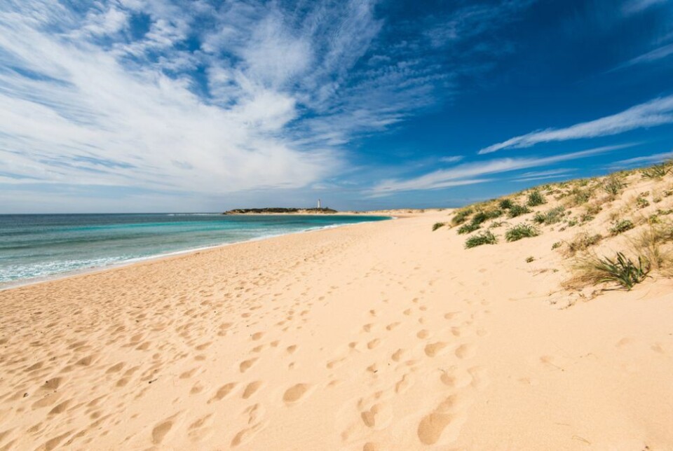 Zahara De Los Atunes. Foto: Marcin Jucha/Shutterstock Zahara De Los Atunes. Foto: Marcin Jucha/Shutterstock