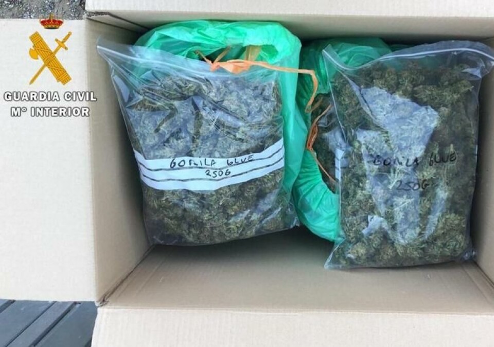 Cannabisen ble funnet i en butikk som solgte CBD opplyser politiet. Foto: Guardia Civil