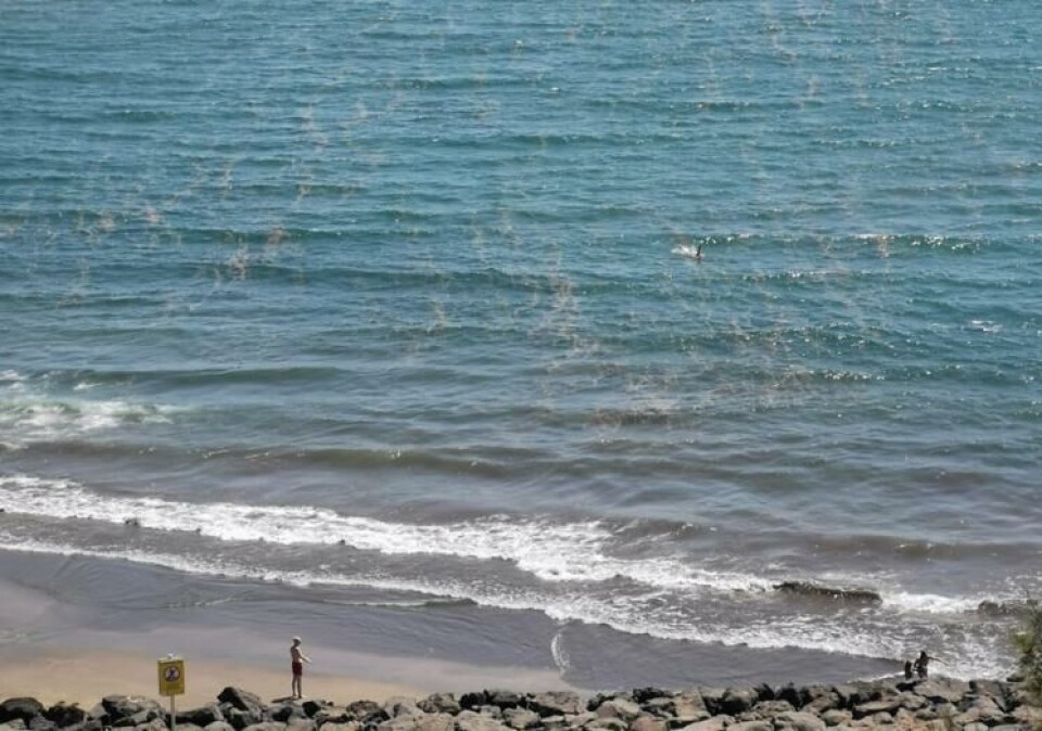 TILBAKE IGJEN: Store områder rundt Playa del Inglés ble rammet av mikroalger denne torsdagen. Foto: Privat