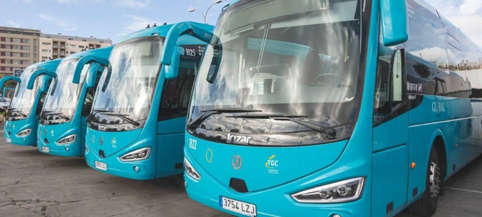 Dette er Gran Canarias villeste busstur: - Du ender opp svimmel og uten livslyst