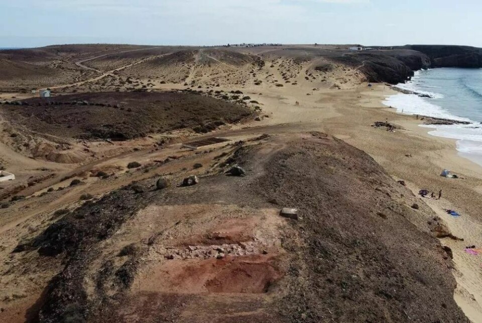Foto: El Diario/Canarias Ahora