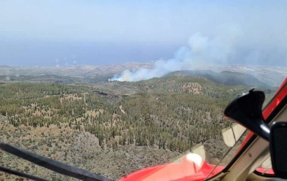 Skogbrann på Tenerife klokken 13:50 i dag.