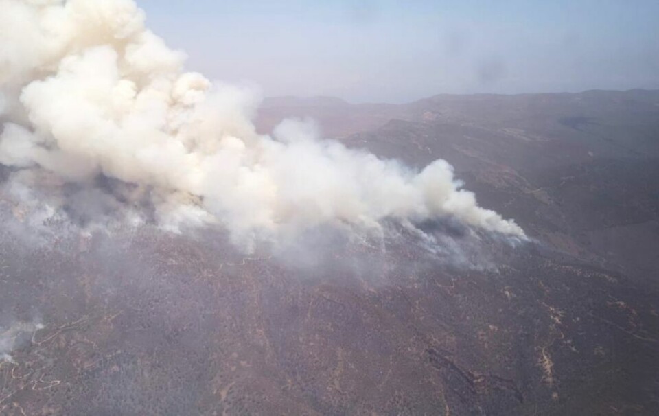 Se videoer av skogbrannen i spillelisten over.