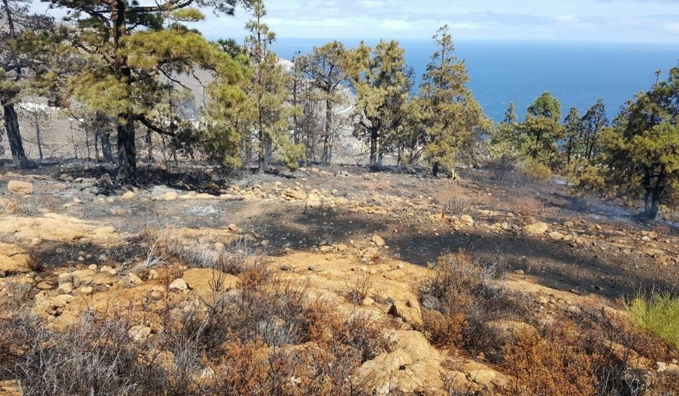 Foto: Øyrådet på Tenerife