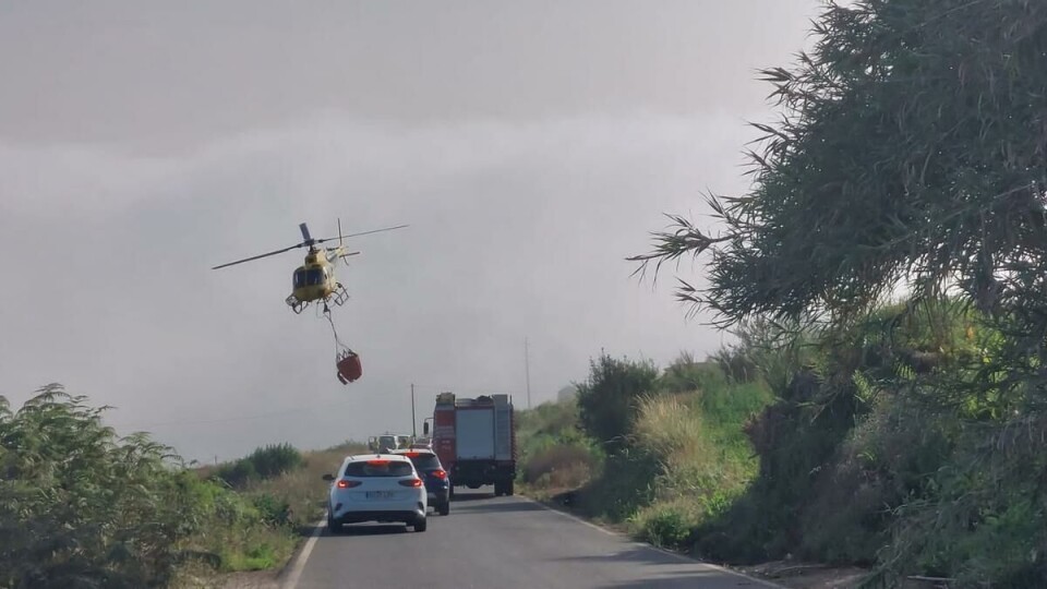 UNDER KONTROLL: Brannen på Tenerife kom under kontroll relativt raskt. Den rammet rundt fire hektar utmark. Foto: El Dia