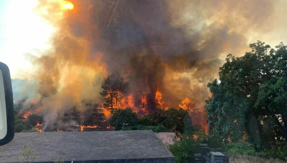 Fra en tidligere skogbrann på La Palma.