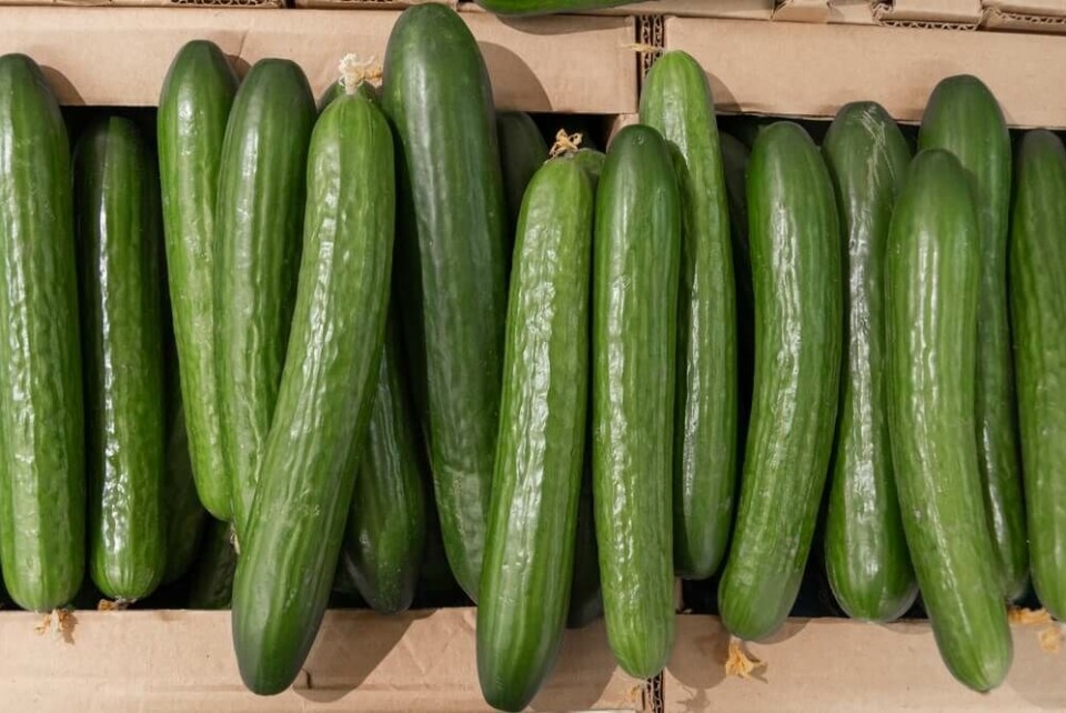 Foto: Shutterstock