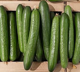 Morsomme matuttrykk på spansk