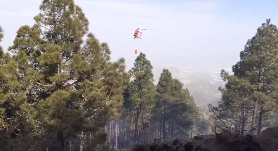 Video: Cabildo de Gran Canaria