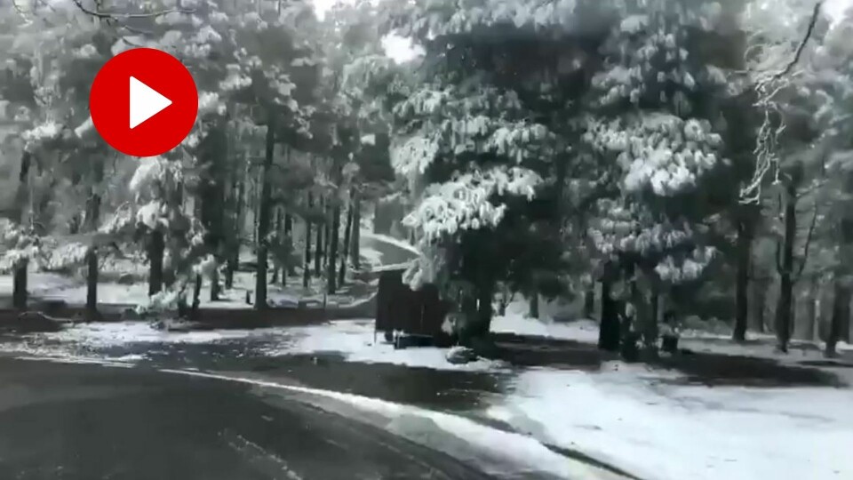 SNØ PÅ GRAN CANARIA: Det har vært uvanlig kaldt på Kanariøyene torsdag og fredag. I går snødde det på Gran Canaria.