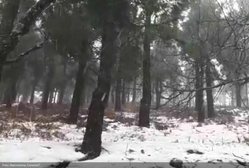 Snø i fjellene på Gran Canaria