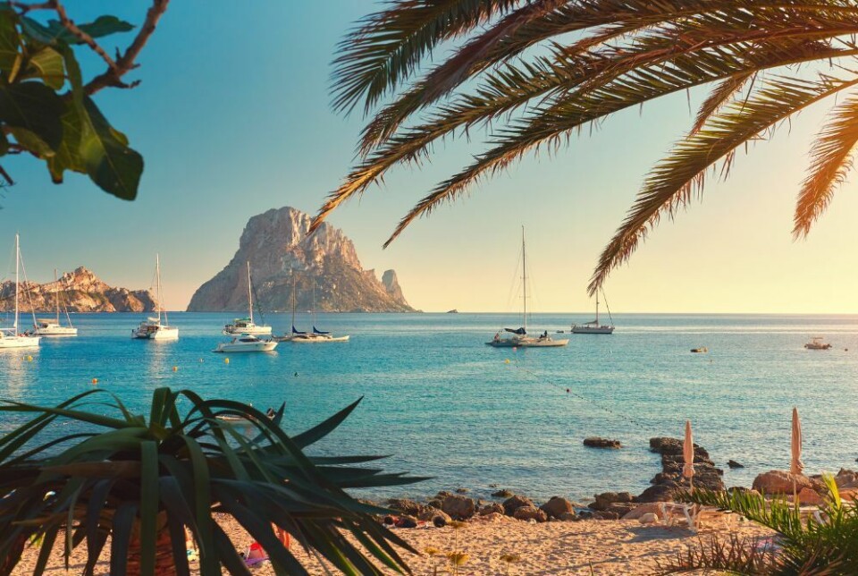 To denguefeber-utbrudd ble registrert på Ibiza i fjor høst. Nå slår tyske helsemyndigheter alarm. Foto: Alex Tihonovs/Shutterstock