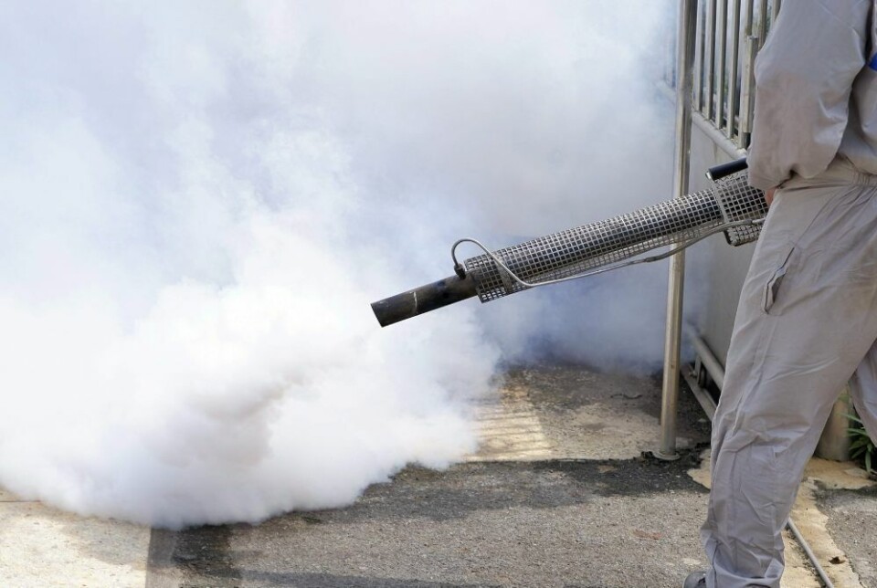 Fumigasjon mot mygg. Foto: Aowsakornprapat/Envato Elements Fumigasjon mot mygg. Foto: Aowsakornprapat/Envato Elements