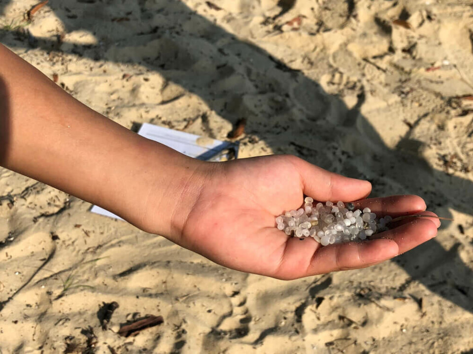 Et illustrasjonsbilde av plastpellets funnet på en strand. Foto: Loretta Sze/Shutterstock