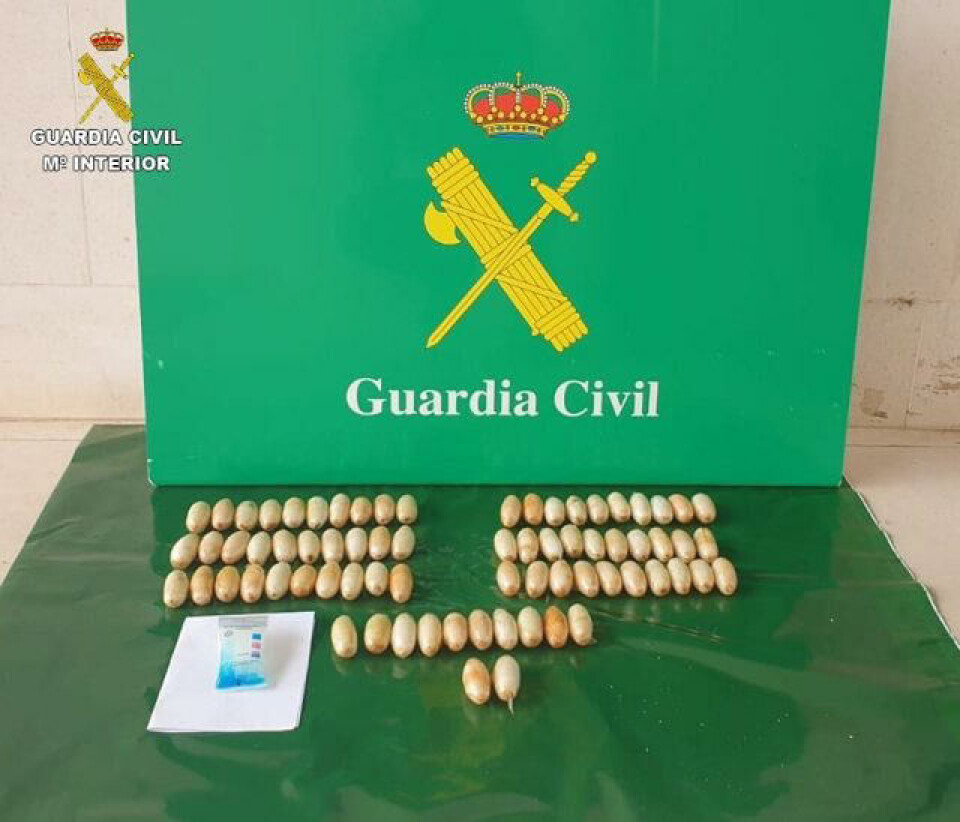 Foto: Guardia Civil