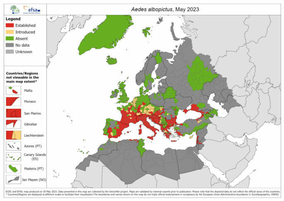 Spredningskartet fra det europeiske smittevernbyrået ECDC viser at myggen kommer stadig lenger nordover i Europa. Så langt har den ikke slått seg ned på Kanariøyene, som ligger lenger sør. Grafikk: ECDC Spredningskartet fra det europeiske smittevernbyrået ECDC viser at myggen kommer stadig lenger nordover i Europa. Så langt har den ikke slått seg ned på Kanariøyene, som ligger lenger sør. Grafikk: ECDC