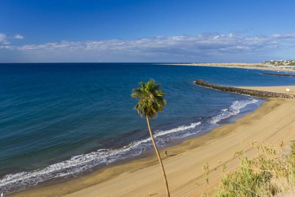 Foto: Gran Canaria Info