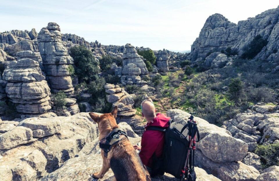 Spania har mange vakre turområder for deg og hunden. Her fra Torcal i Spania. Foto: Envato Elements Spania har mange vakre turområder for deg og hunden. Her fra Torcal i Spania. Foto: Envato Elements