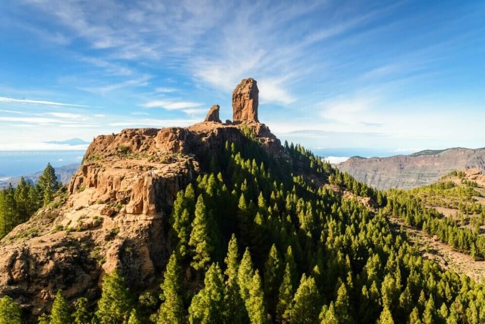 Foto: inigolai-Photography/Shutterstock