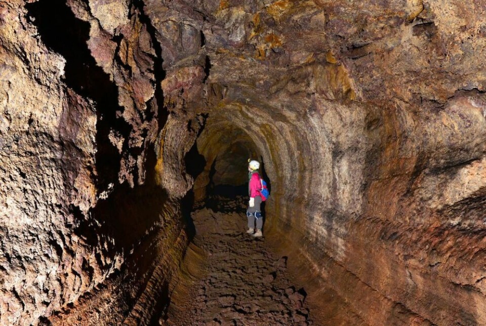 Foto: La Cueva del Viento Foto: La Cueva del Viento