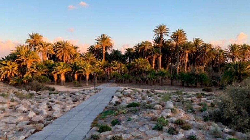 Tony Gallardo-parken i Maspalomas åpner igjen neste uke