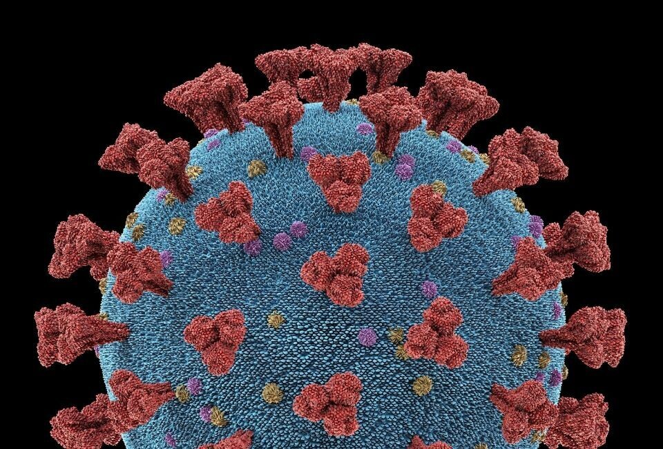 To nye tilfeller av coronavirus bekreftet på Tenerife