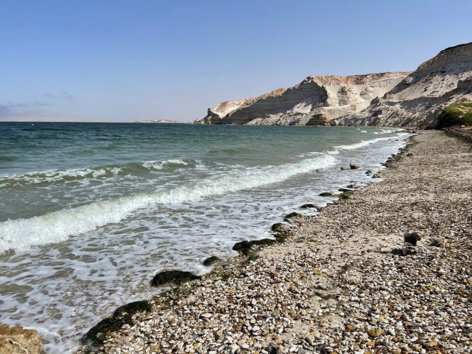 Arkivfoto av kysten utenfor byen Dakhla. Foto: Shutterstock