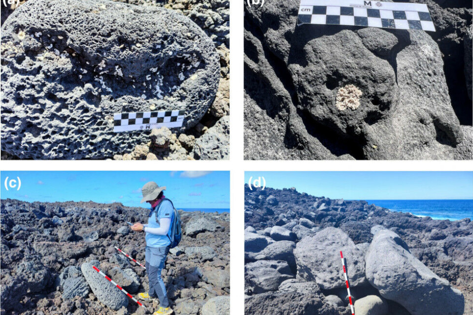 Tsunamien var kraftig nok til å slenge disse steinene langt inn på land. Foto: Geologisk bergverksinstitutt