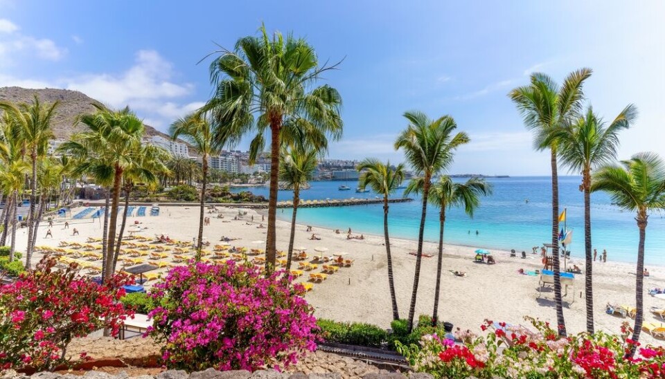 Anfi-stranda sørvest på Gran Canaria. Foto: Shutterstock