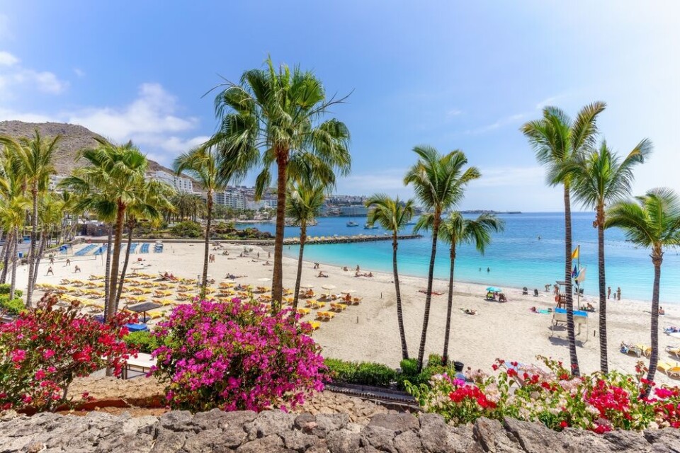 Anfi-stranda sørvest på Gran Canaria. Foto: Shutterstock