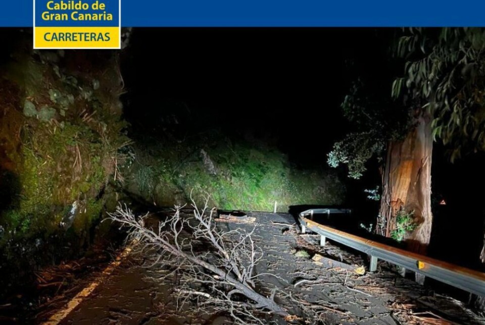 Voldsomme naturkrefter har sendt trær ut i veibanen på Gran Canaria. Foto: Veivesenet