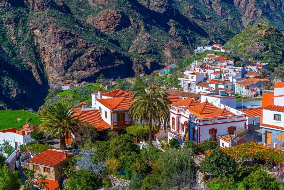 Foto: Trabantos/Shutterstock Foto: Trabantos/Shutterstock