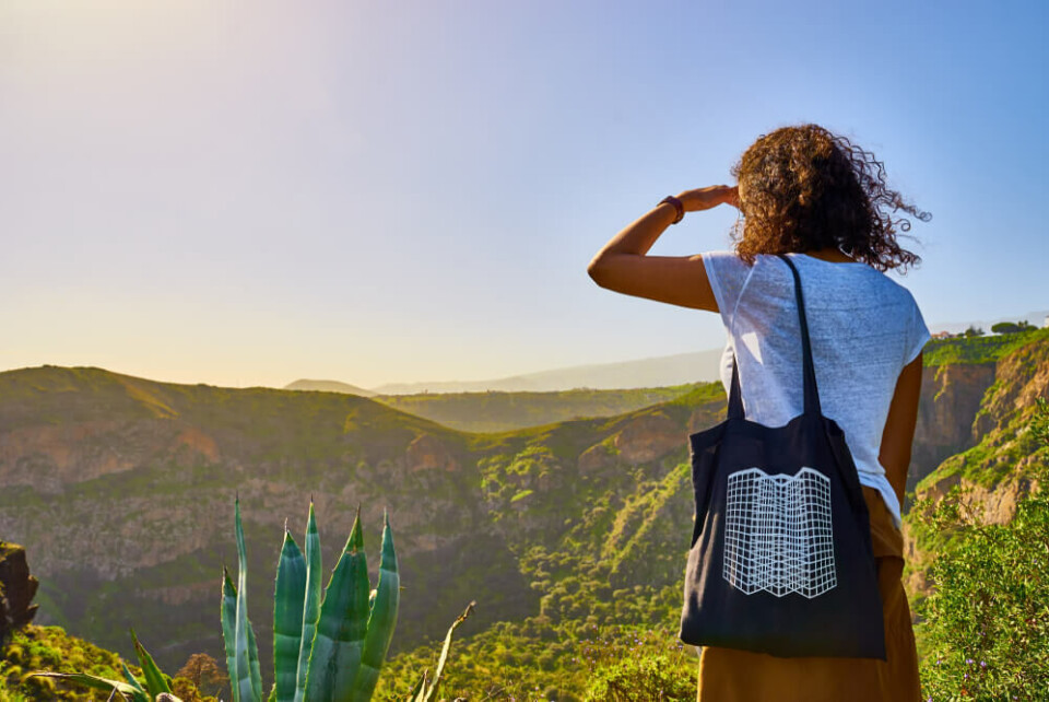 Foto: marako85/Shutterstock Foto: marako85/Shutterstock
