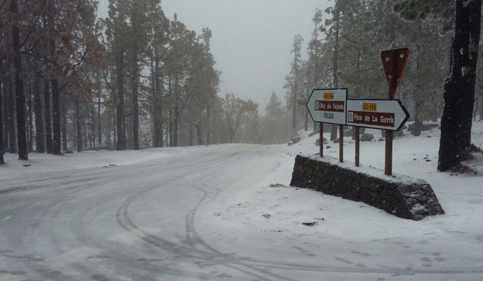Arkivfoto av snø i fjellet på Gran Canaria. Foto: DGT