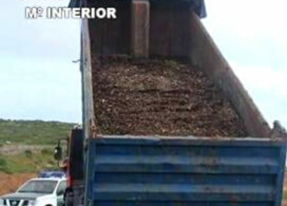 Ulovlig avfallsdumping stod bak flueplagen i 2020