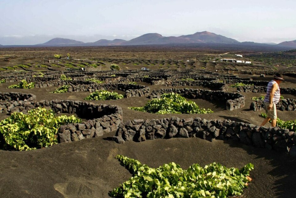 Foto: Canary Islands Tourism Foto: Canary Islands Tourism