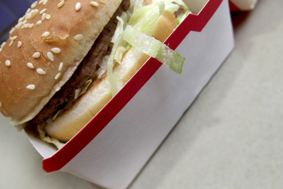 Ungdom spiser stadig mer fastfood i Spania, viser ny studie. Foto: Envato Elements