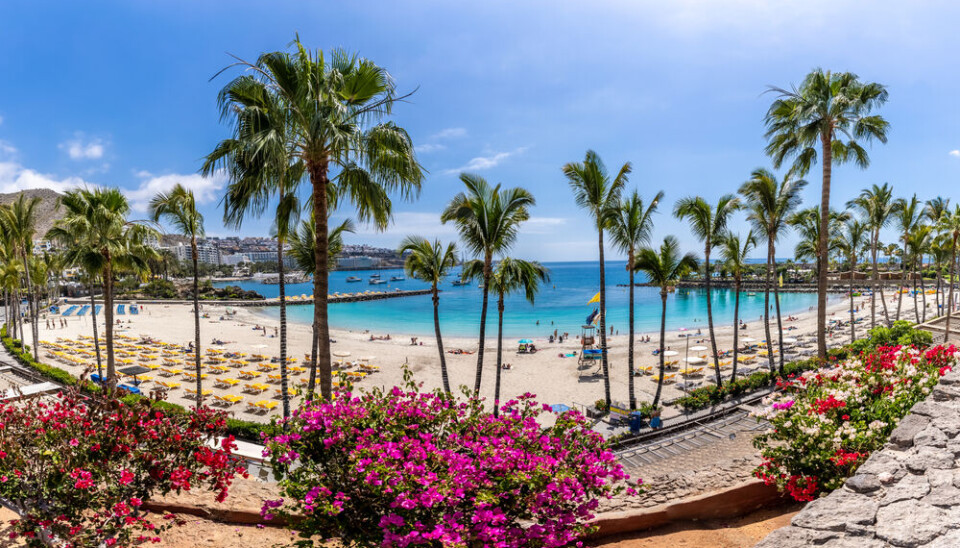 Anfi del Mar sørvest på Gran Canaria. Foto: Balate Dorin/Shutterstock