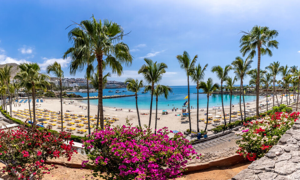 Anfi del Mar sørvest på Gran Canaria. Foto: Balate Dorin/Shutterstock