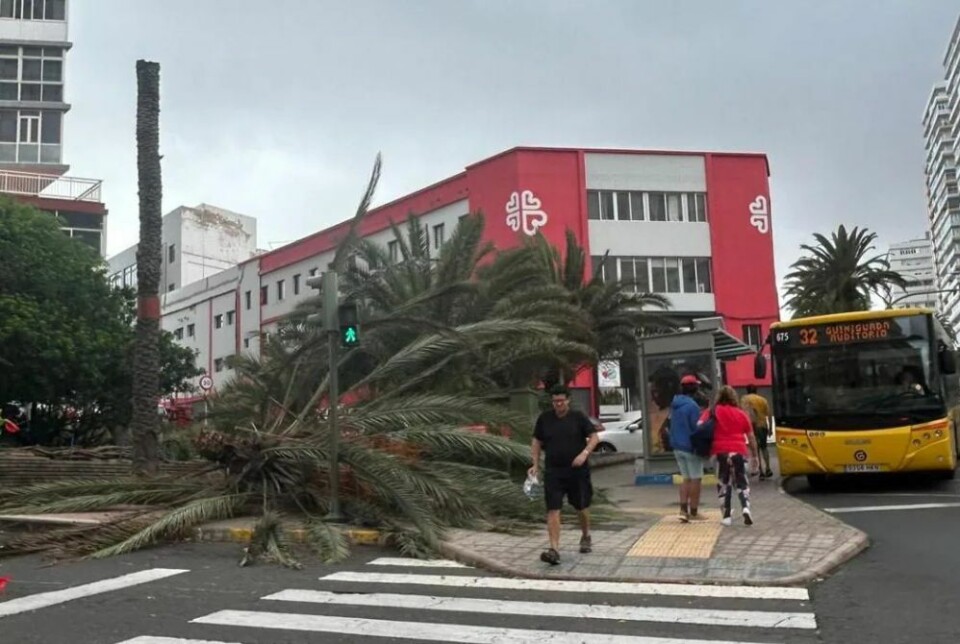 Foto: Juan Carlos Alonso