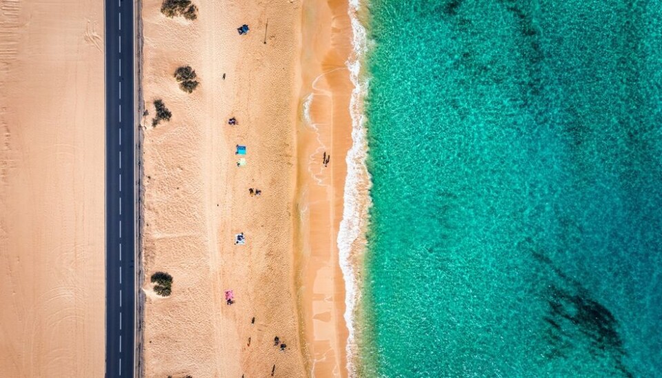 Corralejo på Fuerteventura. Foto: Shutterstock