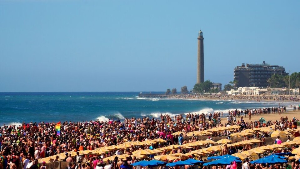 Foto: Canary4stock/Shutterstock