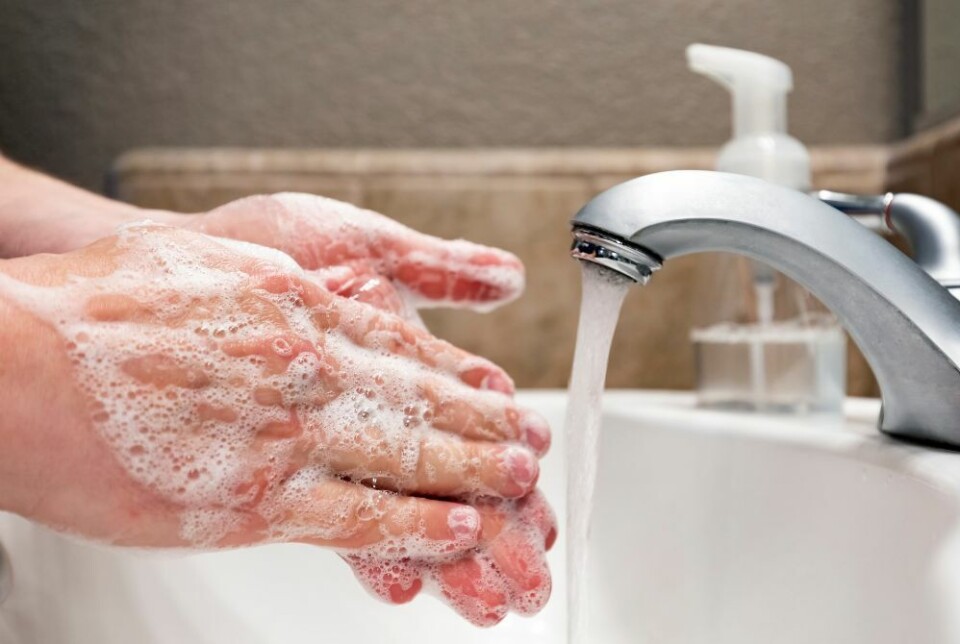 HÅNDVASK: Mange har nok blitt slappere med dette etter pandemien, men god håndhygiene er en vane du bør fortsette med. Foto: Envato Elements HÅNDVASK: Mange har nok blitt slappere med dette etter pandemien, men god håndhygiene er en vane du bør fortsette med. Foto: Envato Elements