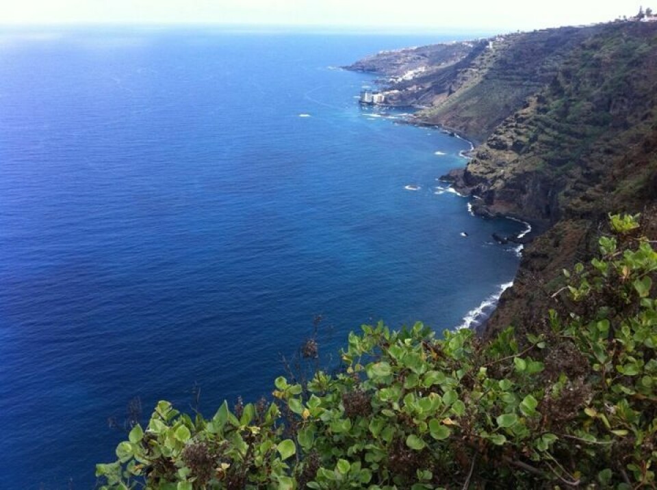 Foto: Tenerife Surprise