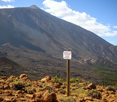 Franske turister bøtelagt på Teide