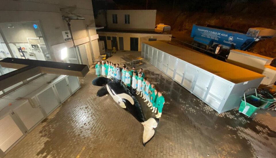 Før veterinærene gikk løs på den krevende oppgaven med å fastslå dødsårsaken, holdt de en liten seremoni for Keto.