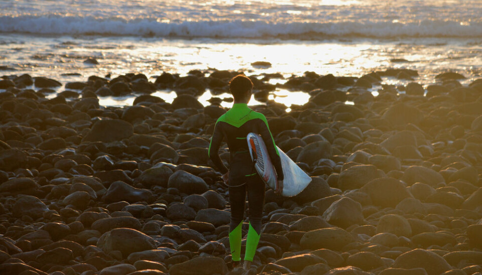 Fra surfing til dykking, snorkling og båtturer, i Arguineguín og området rundt finner du det meste.